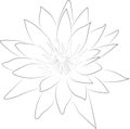 A simple black and white vector line pattern of a flower on a white background. Royalty Free Stock Photo