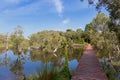 Simple boardwalk, wooden walkway across flooded forest. Wooden p Royalty Free Stock Photo