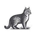 Bobcat Side View Vintage Retro Vector Icon Logo Illustration Design. Royalty Free Stock Photo
