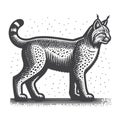 Bobcat Side View Vintage Retro Vector Icon Illustration Design. Royalty Free Stock Photo