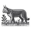 Bobcat Side View Vintage Retro Logo Vector Icon Illustration Design. Royalty Free Stock Photo