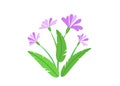 Simple bouquet vector with spring garden blooming flowers illustration. Fashion floral springtime nature plant elements