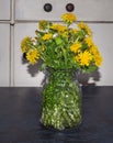 A simple bouquet of wildflowered yellow dandelions in a glass vase on a dark table Royalty Free Stock Photo