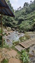 a simple bridge made of bamboo to cross a small river with rocks against the background of trees in the hills