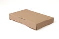 A simple brown cardboard box isolated on white background Royalty Free Stock Photo