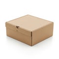 Simple brown cardboard box on white background Royalty Free Stock Photo