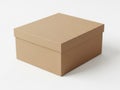 Simple brown cardboard box on white background Royalty Free Stock Photo