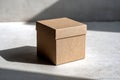Simple brown cardboard gift box with lid on concrete surface casting sharp shadow in natural sunlight with minimalistic background Royalty Free Stock Photo