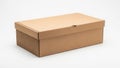Simple brown cardboard shoe box on white background Royalty Free Stock Photo