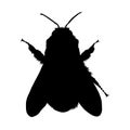 Simple Bumble Bee Silhouette Isolated On White