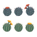 Simple Cactus collection isolated on white background