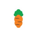 Simple carrot colorful design symbol vector