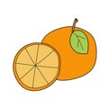Simple cartoon icon. Orange fruit with leaf and slice. Vector illustration Royalty Free Stock Photo