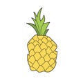 Simple cartoon icon. Pineapple tropical sweet summer fruit, vector
