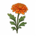 Simple Cartoon Style Marigold With White Background