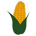 Simple cartoon style yellow corn. Golden maize harvest concept. Royalty Free Stock Photo