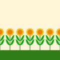 Simple cartoon sunflowers row seamless border, vector Royalty Free Stock Photo