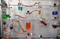 Simple chemical experiments with colored liquid in laboratory. Royalty Free Stock Photo