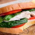 Healthy chicken sandwich recipe. Homemamde chicken sandwich with tomatoes and spinach on a wooden board. Closeup