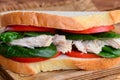 Simple chicken sandwich. Chicken sandwich with tomatoes and spinach on a wooden board. Closeup