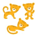 Set of funny tiger cubs. Royalty Free Stock Photo