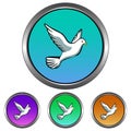 Simple, circular, metallic, white dove icon. Four color gradient variations