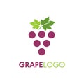 Simple grape logo vector template