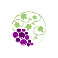 Simple grape logo vector template