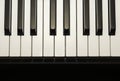 Simple and clean piano keys, one octave, music background