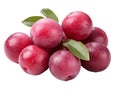 simple clip art of Japanese plum Fruit on white background