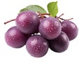 simple clip art of Kakadu Plum Fruit on white background