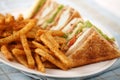 Simple club sandwich Royalty Free Stock Photo