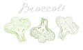 Simple outline broccoli with the inscription. vector illustration.