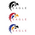 Simple colorful eagles vector design template