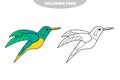 Simple coloring page. With Funny little hummingbird. Educational children game