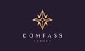 Simple compass logo concept in a modern and luxury style