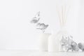 Simple contemporary white decorations for interior - aromatic white diffuser with sticks, ceramic vase with silver leaves.