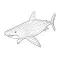 Simple Continuous Line Drawing of a Saltwater Shark Fish for Posters and Web Designs. Royalty Free Stock Photo
