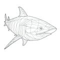 Simple Continuous Line Drawing of a Saltwater Shark Fish for Posters and Web. Royalty Free Stock Photo