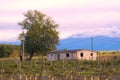 Simple cottage by a vineyard in Mendoza, Argentina Royalty Free Stock Photo