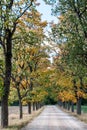 Simple Country Gravel Road in Autumn at Countryside Forest with Oak Trees Royalty Free Stock Photo