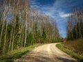 A simple country road, the first bright spring greenery, the first leaves in the trees Royalty Free Stock Photo
