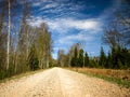 A simple country road, the first bright spring greenery, the first leaves in the trees Royalty Free Stock Photo