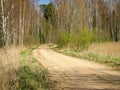 A simple country road, the first bright spring greenery, the first leaves in the trees Royalty Free Stock Photo