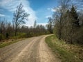 A simple country road, the first bright spring greenery, the first leaves in the trees Royalty Free Stock Photo