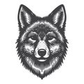 Simple Coyote Front View Icon Design Vintage Retro Logo Illustration. Royalty Free Stock Photo