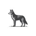 Simple Coyote Side View Vector Icon Vintage Retro Logo Illustration. Royalty Free Stock Photo