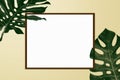 Simple creative nature frame made of summer tropical palm