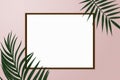 Simple creative nature frame made of tropical palm