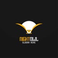 Simple and creative night owl logo